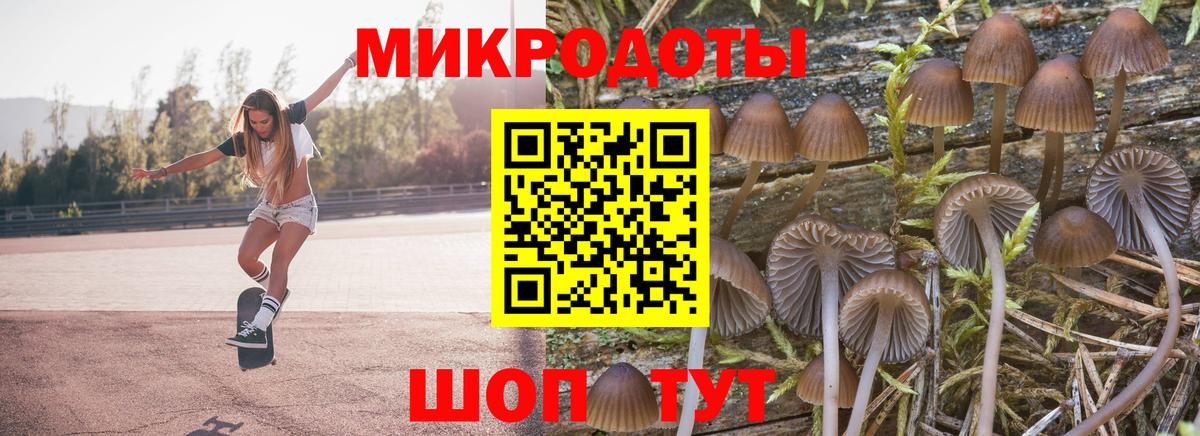 Псилоцибиновые грибы Cubensis  Вход с VPN  Кохма  Псилоцибиновые грибы Cubensis 