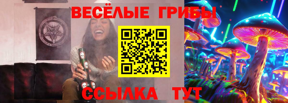 Псилоцибиновые грибы GOLDEN TEACHER Кохма